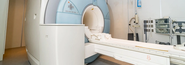 MRI Single Region