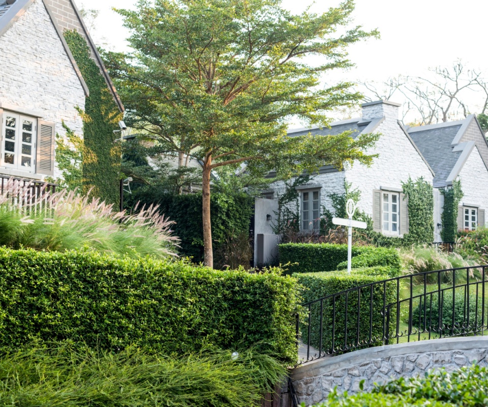 Garden image